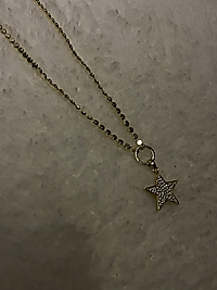VIP 14K Kolye